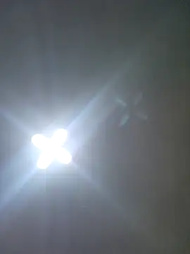 Ricorryxh online show from October 14, 4:24 am