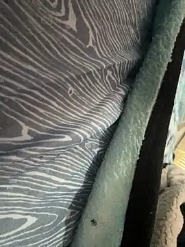 Snapshot of Followthepiper chatting on November 10, 7:35 pm Followthepiper online show from November 10, 7:35 pm