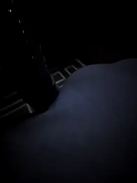 Southern Bella online show from November 20, 8:03 am