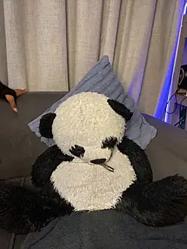 Snapshot of YellowHoneyDip chatting on February 19, 5:25 am YellowHoneyDip online show from February 19, 5:25 am