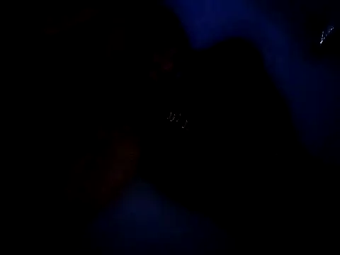 Egypt4280 online show from November 7, 4:45 am