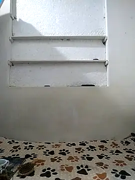 Snapshot of Cameron_puppy chatting on April 12, 10:20 am Cameron puppy online show from April 12, 10:20 am