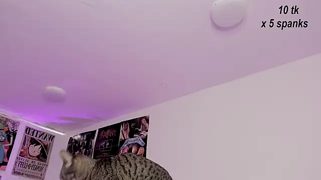 Sachi Meow online show from October 26, 12:00 pm