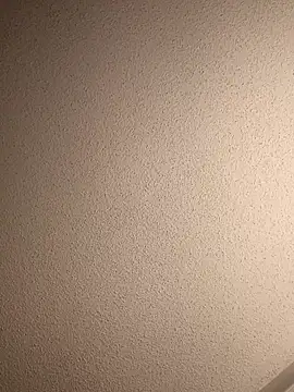 Treemandude online show from September 13, 6:02 am