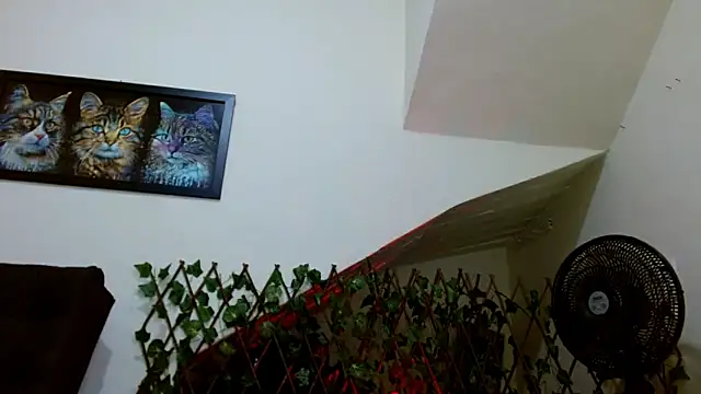 Snapshot of lady_scarlettt chatting on February 23, 4:39 am lady scarlettt online show from February 23, 4:39 am