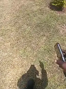 NattyDreadKenya online show from July 29, 9:51 am