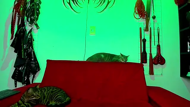 irregular fetish  online show from February 26, 7:46 pm