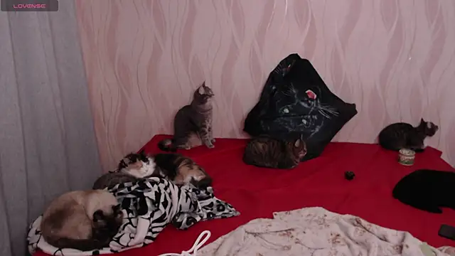 Olivia Winston online show from December 5, 9:50 pm