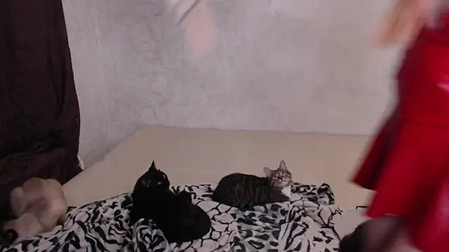 Olivia Winston online show from November 30, 10:58 pm