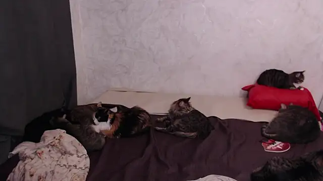 Olivia Winston online show from February 4, 3:18 pm