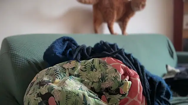 Brianjonest online show from March 22, 4:21 pm