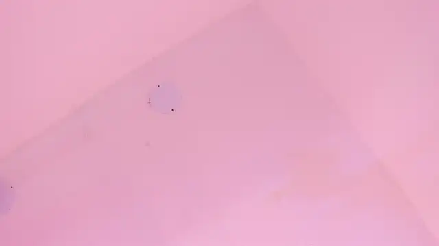 LoveQueen2 online show from January 6, 11:47 am