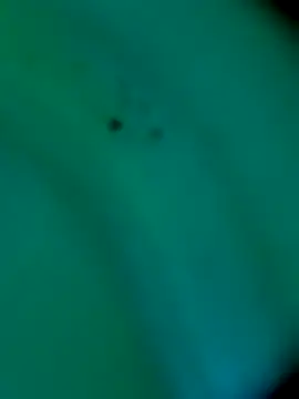 Snapshot of sm4lld1ck chatting on October 31, 11:39 pm sm4lld1ck online show from October 31, 11:39 pm