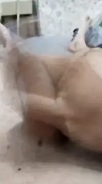 Snapshot of quierodarleche69 chatting on January 20, 3:26 am quierodarleche69 online show from January 20, 3:26 am