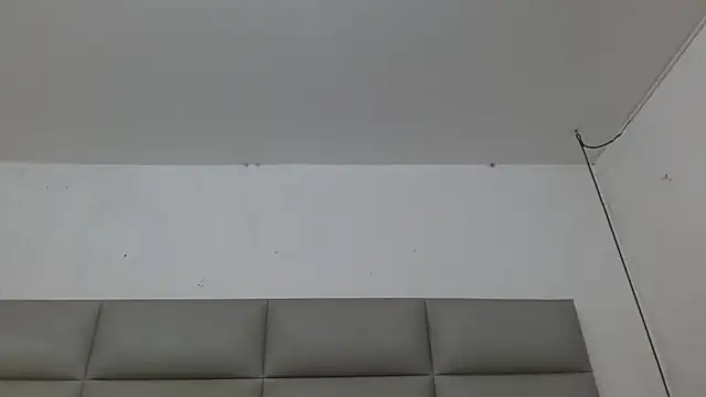 emily brontee  online show from November 4, 1:21 pm