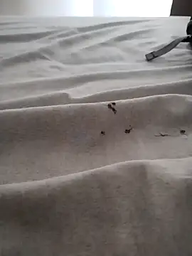 BarbudoSP35 online show from March 15, 1:18 pm