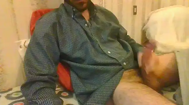 Snapshot of tozebrito_hd chatting on February 16, 1:27 pm tozebrito hd online show from February 16, 1:27 pm