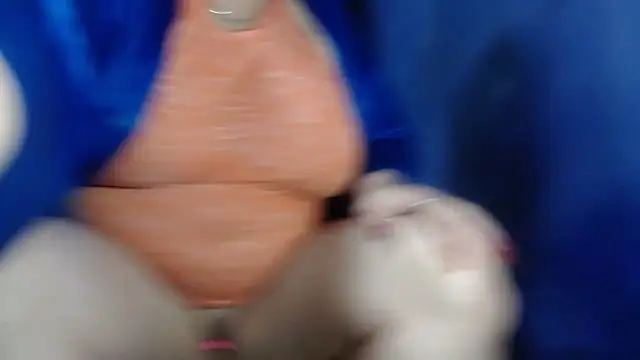 Snapshot of CamelliaLong chatting on March 6, 11:53 pm CamelliaLong online show from March 6, 11:53 pm