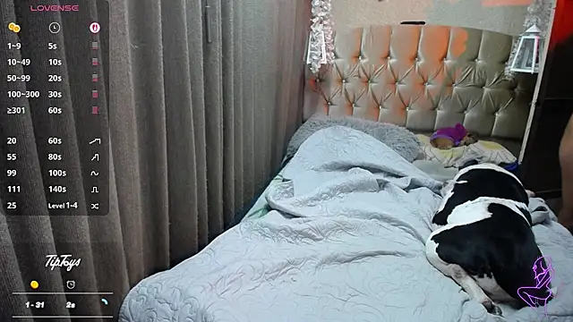 Dreams sophi online show from July 16, 1:22 am