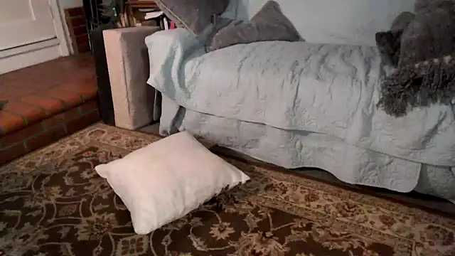 Dark Asteroid online show from February 20, 12:38 pm