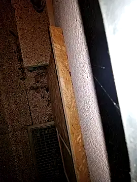 Snapshot of Lorent6969 chatting on September 19, 3:52 am Lorent6969 online show from September 19, 3:52 am