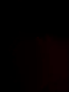 FantasticWonders9 online show from November 25, 12:21 am