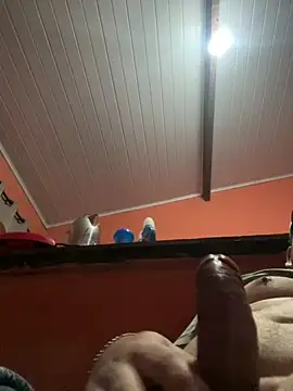 brunogordin69 online show from September 25, 7:01 am