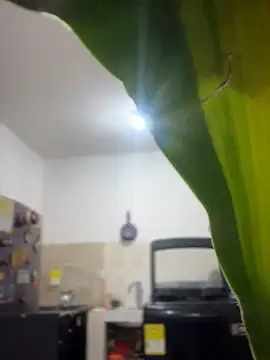 emily rosse04 online show from March 4, 11:16 am