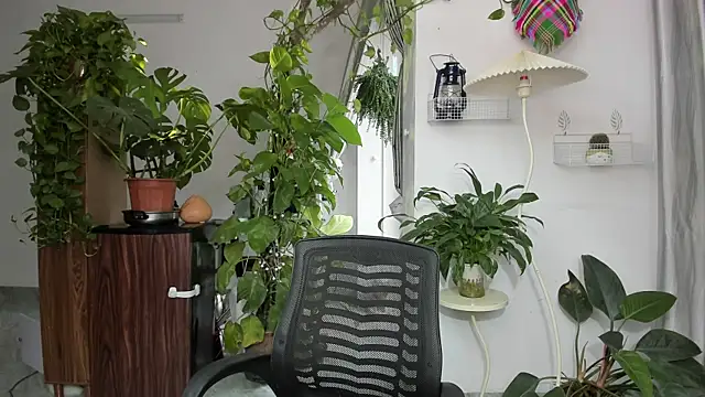 Snapshot of Oliver_Nl chatting on November 17, 5:24 am Oliver Nl online show from November 17, 5:24 am