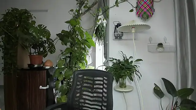 Snapshot of Oliver_Nl chatting on November 19, 4:56 am Oliver Nl online show from November 19, 4:56 am