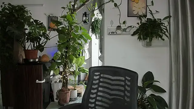 Snapshot of Oliver_Nl chatting on December 14, 5:02 am Oliver Nl online show from December 14, 5:02 am