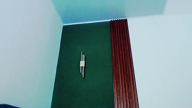 jean sneider online show from October 12, 11:20 am