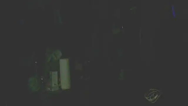 perversalus online show from December 14, 5:29 pm