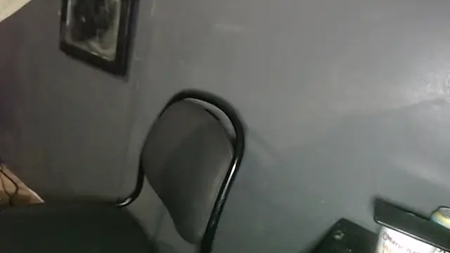 Dogz n daugthers online show from February 2, 12:19 am