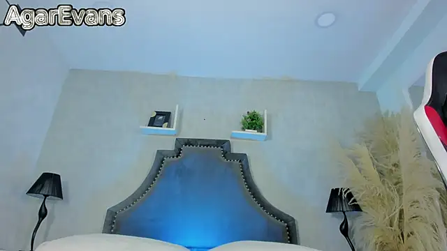 Snapshot of AgarEvans chatting on July 9, 4:38 am AgarEvans online show from July 9, 4:38 am