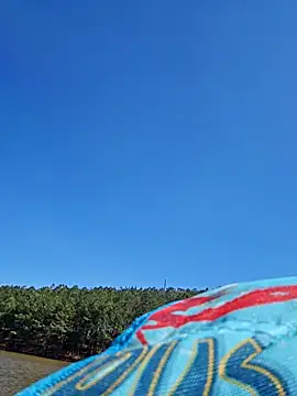 Dixiefaye Pika online show from March 18, 8:15 pm