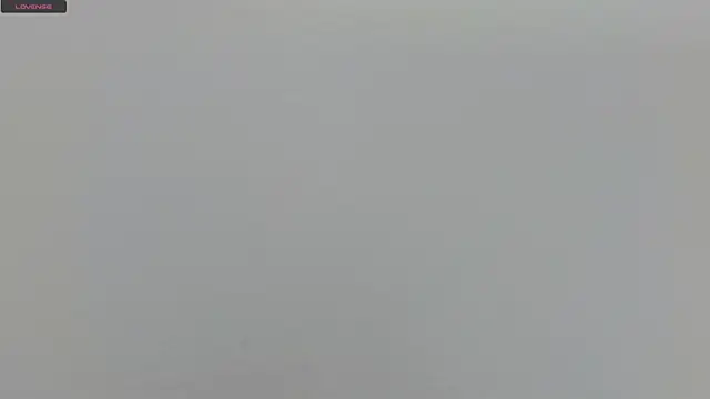 Alejandra Dunn online show from March 15, 2:34 pm