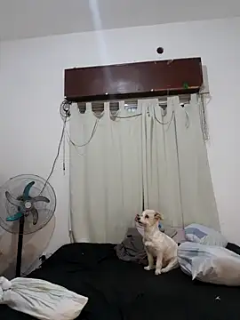 Snapshot of Shura_xxxBig chatting on October 20, 12:11 am Shura xxxBig online show from October 20, 12:11 am