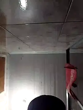 Snapshot of Adee21e chatting on November 17, 8:47 pm Adee21e online show from November 17, 8:47 pm