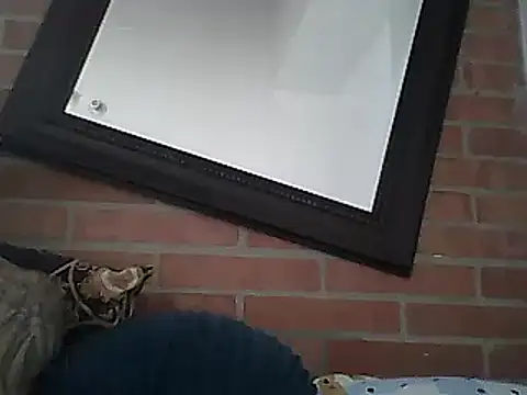 Snapshot of Skater29xx2 chatting on March 15, 8:10 pm Skater29xx2 online show from March 15, 8:10 pm