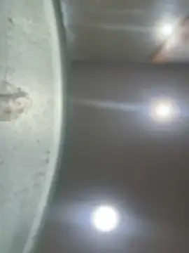 Mila Morgan online show from January 23, 1:51 am