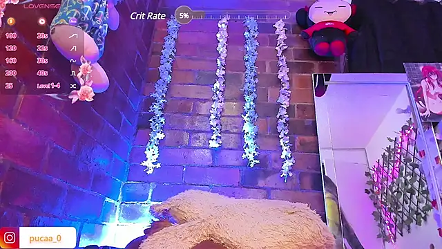 Pucaa  online show from January 31, 4:03 am