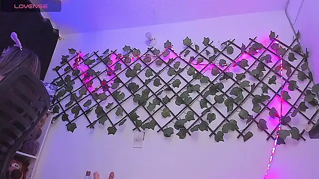 Pucaa  online show from February 6, 12:43 am