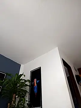 SilvaBranko online show from December 20, 2:07 am