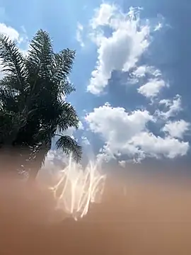 THEBUTTERNUT online show from February 6, 11:02 am