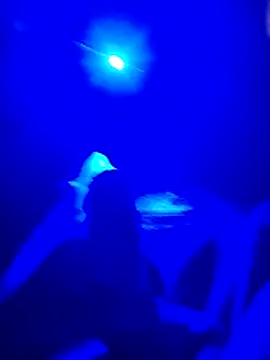 prcalek19 online show from November 20, 7:46 pm