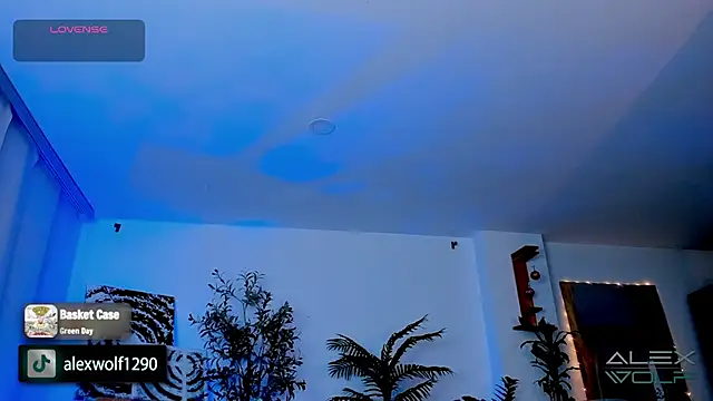 Snapshot of alex_wolf_ chatting on January 17, 5:21 am alex wolf online show from January 17, 5:21 am