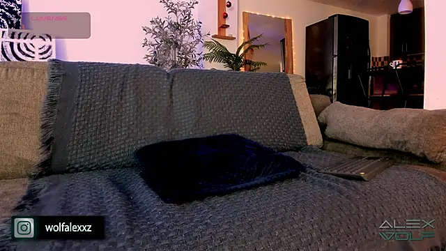 Snapshot of alex_wolf_ chatting on February 8, 2:04 am alex wolf online show from February 8, 2:04 am