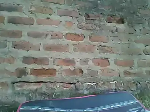 Javan  online show from January 13, 12:35 pm