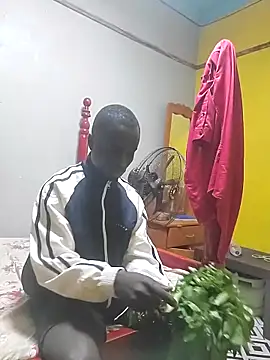 Javan  online show from October 6, 7:39 am